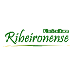 axonline_cliente_floricultura_ribeironense_1