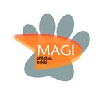 axonline_cliente_magi_special_dogs_1